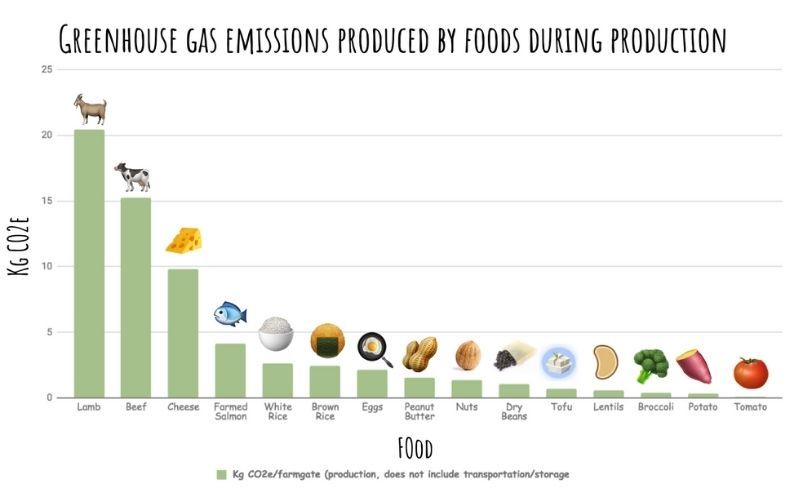 15 Ways to Reduce Your Carbon Footprint