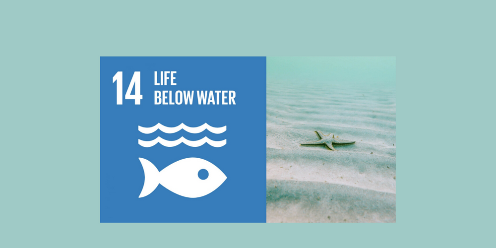 LIFE BELOW WATER – A CONFRONTING TRUTH