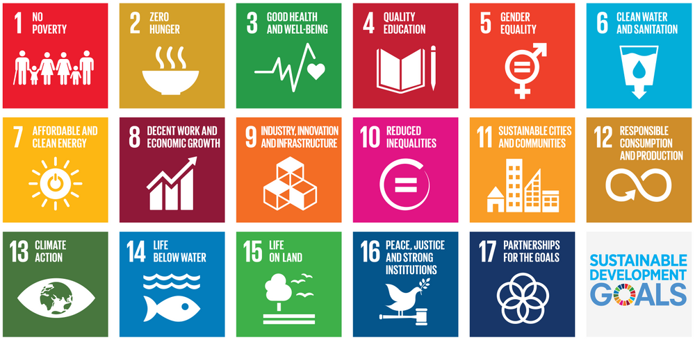 SUSTAINABLE DEVELOPMENT GOALS (SDGS): ENSURING NO ONE IS LEFT BEHIND