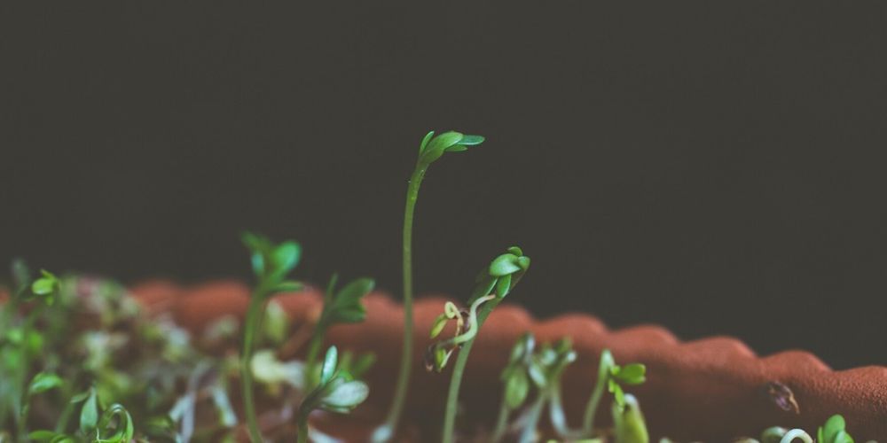 Sustainable Marketing Strategies from three Experts in Advertising