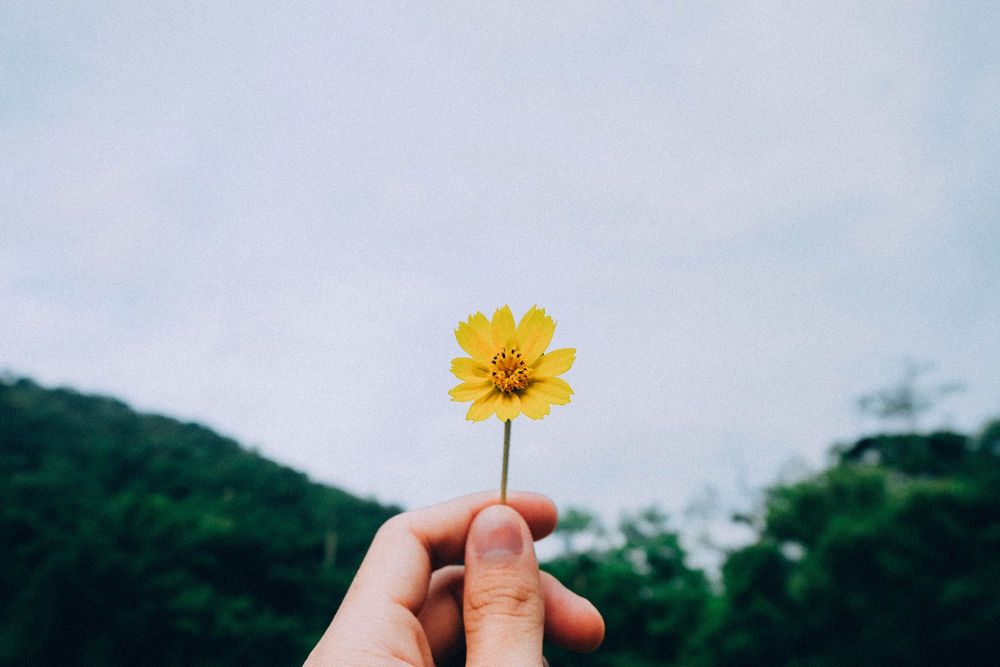 WHY BUY ONE GIVE ONE COMPANIES REALLY DO HELP