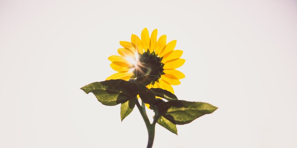8 REASONS TO BE THANKFUL THIS YEAR
