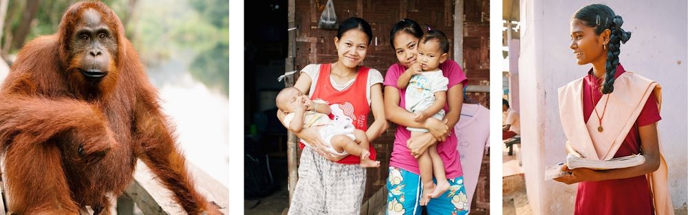 Top Questions about the Sustainable Development Goals