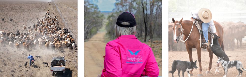 Decades of Disasters – The Inspiring Resilience of Primary Producers in Australia