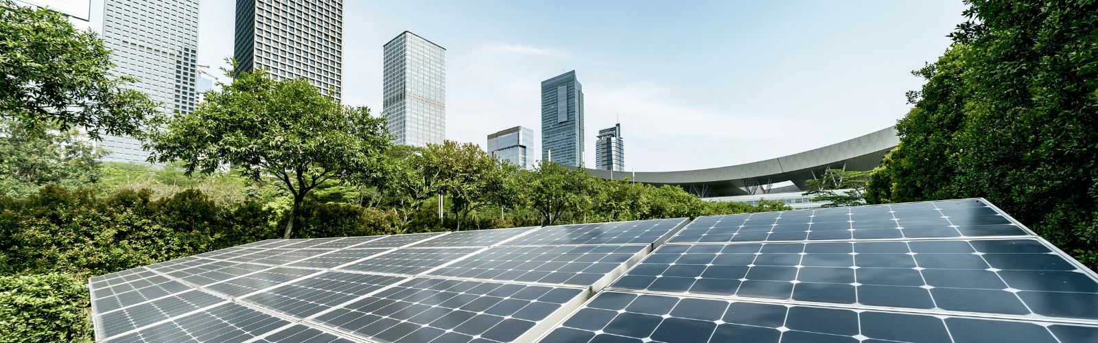 Aligning Values: 
Exploring the Impact Economy and Sustainability in Business