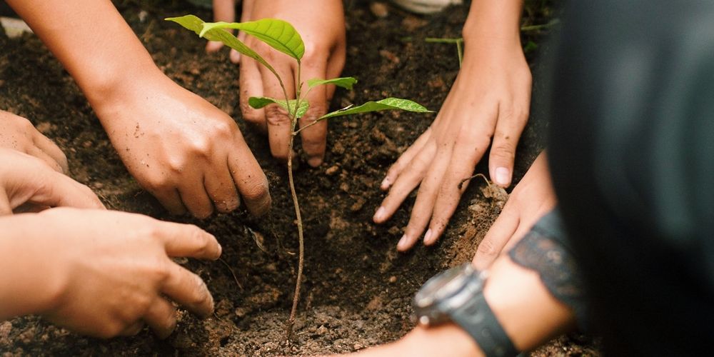 People, Profit AND Planet — the way forward for us all.
