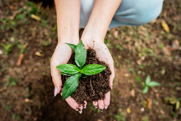A New (and Original) Definition of ESG: How Our Future Can Be Filled with Care.
