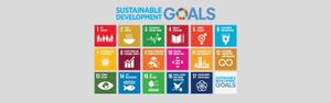 Sustainable Development Goals