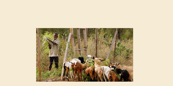 INSPIRING BUSINESS GIVING WITH BIG RESULTS