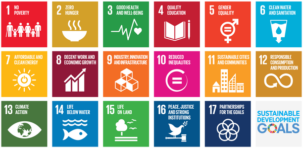 SUSTAINABLE DEVELOPMENT GOALS (SDGS): ENSURING NO ONE IS LEFT BEHIND