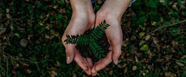THE RISE OF ECO-FRIENDLY AND SUSTAINABLE GIVING