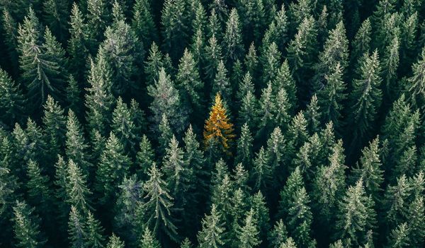 REO GROUP – ELEVATING HUMAN POTENTIAL