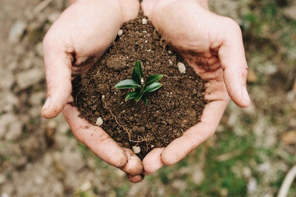 6 TIPS TO ENSURE TRULY EFFECTIVE BUSINESS GIVING