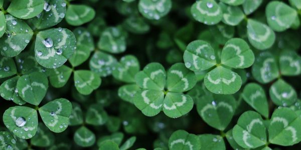 GIVE LUCK SOME CREDIT, IT MIGHT JUST CHANGE OUR WORLD