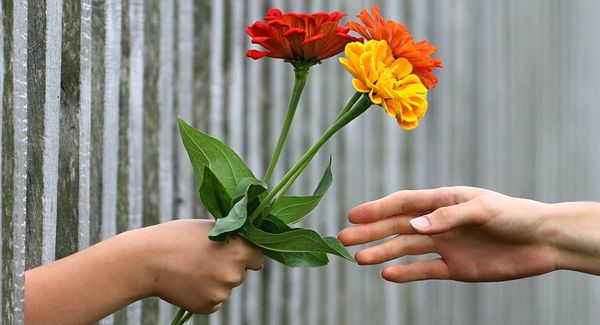 WHY GIVING CREATES MORE HAPPINESS THAN GETTING