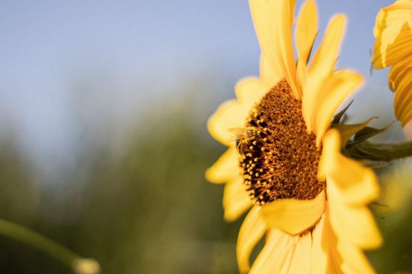 WHY ‘SMALL’ IS MORE POWERFUL THAN ‘BIG’