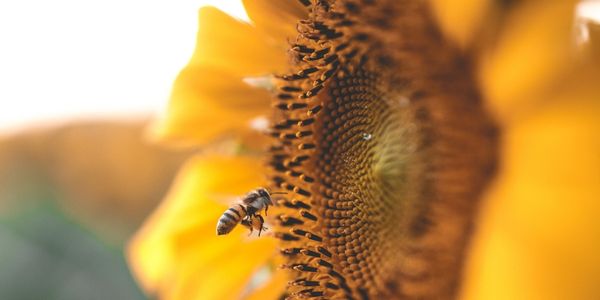 THE POWER OF SMALL, NOT ONE SIZE FITS ALL.