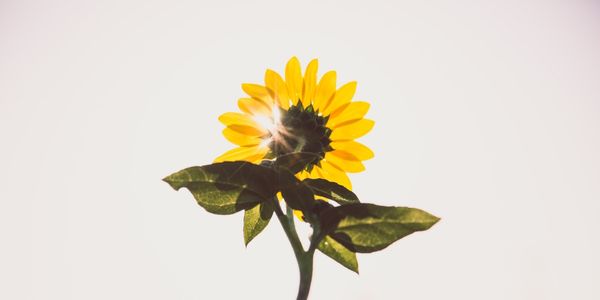 8 REASONS TO BE THANKFUL THIS YEAR