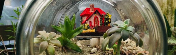 The Life-Long Impact of Having a Safe Home