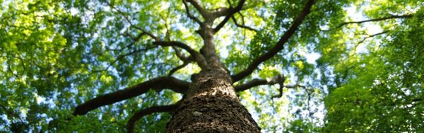 What if ESG Had a New Meaning?