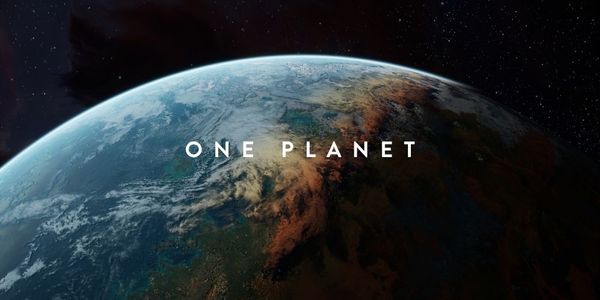 They made it. Now what?